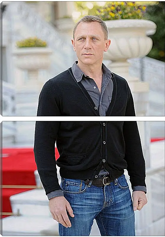 Модульная картина - Дэниел Крейг. Daniel Craig