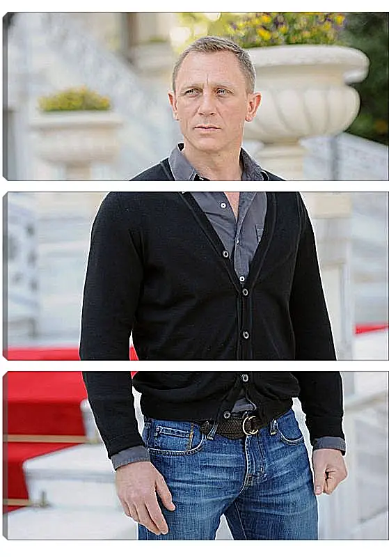 Модульная картина - Дэниел Крейг. Daniel Craig