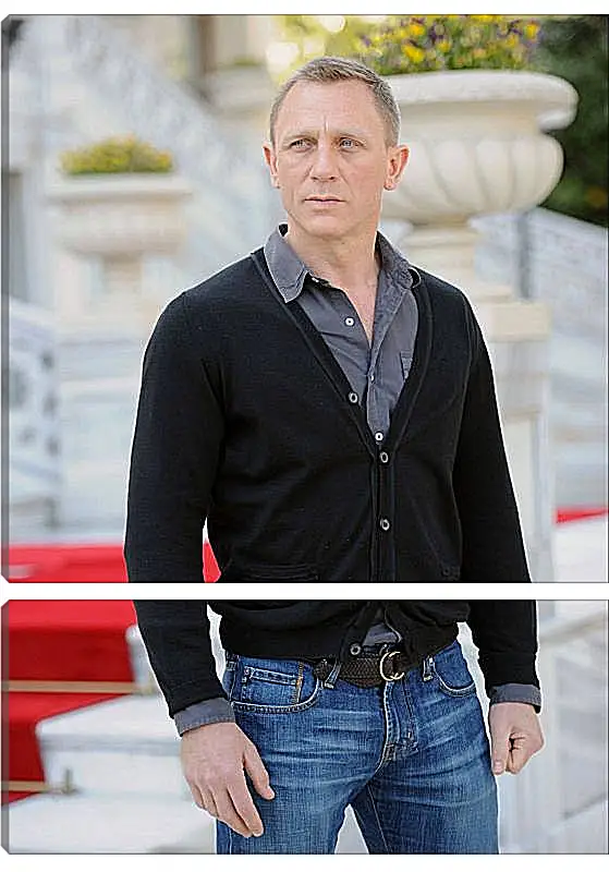 Модульная картина - Дэниел Крейг. Daniel Craig