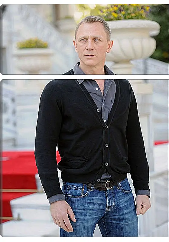 Модульная картина - Дэниел Крейг. Daniel Craig