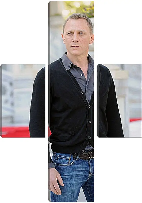 Модульная картина - Дэниел Крейг. Daniel Craig