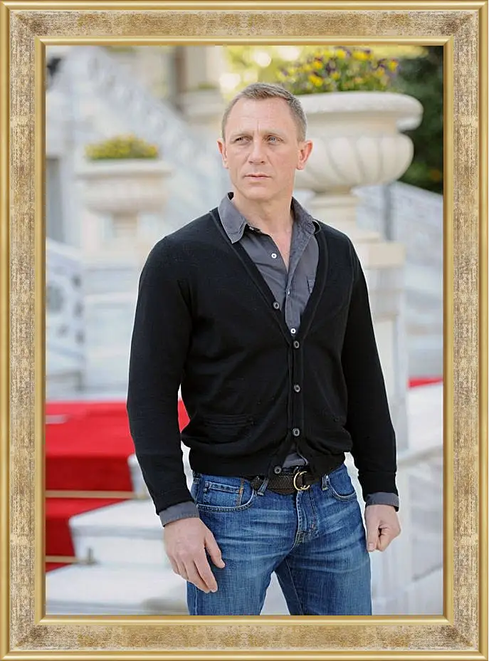 Картина в раме - Дэниел Крейг. Daniel Craig