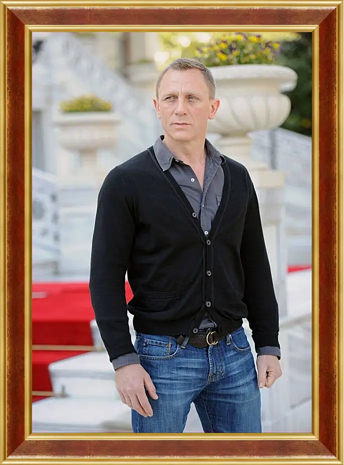 Картина в раме - Дэниел Крейг. Daniel Craig