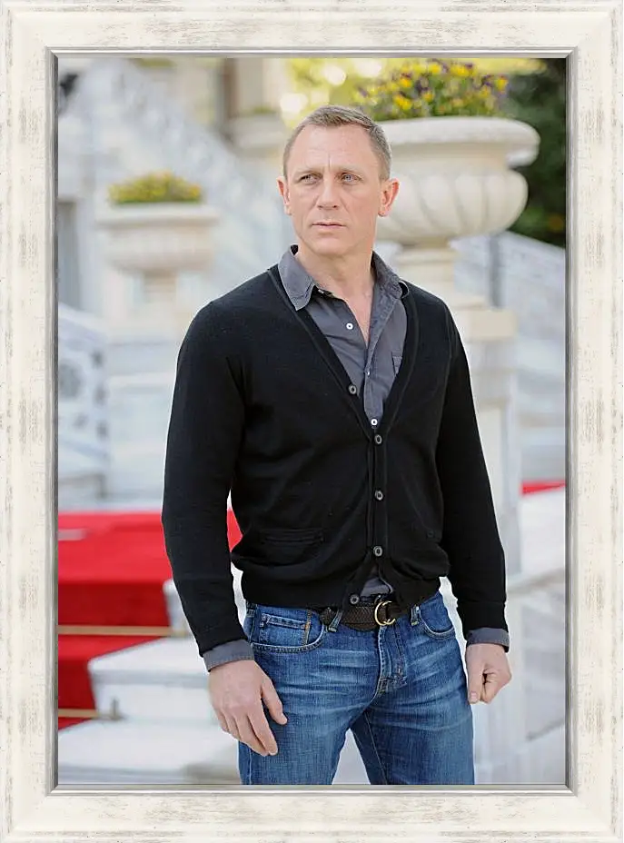 Картина в раме - Дэниел Крейг. Daniel Craig