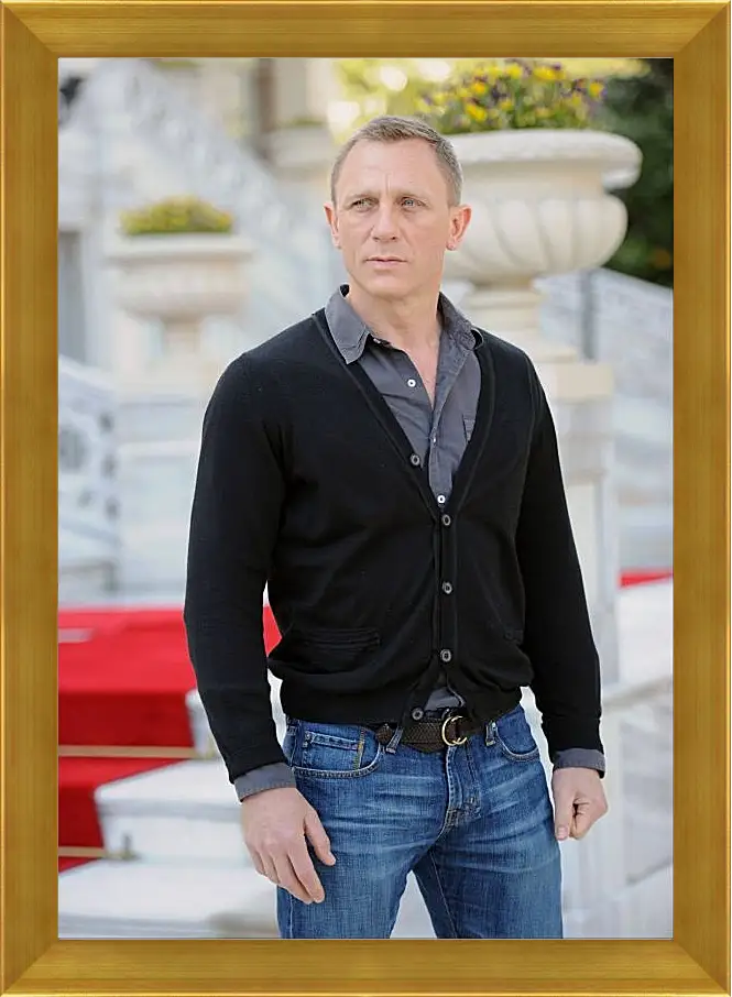 Картина в раме - Дэниел Крейг. Daniel Craig