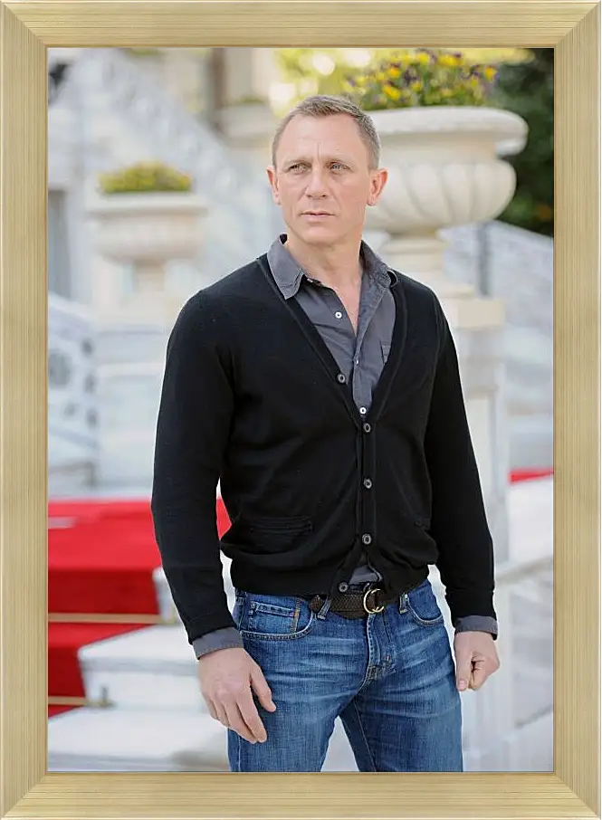 Картина в раме - Дэниел Крейг. Daniel Craig