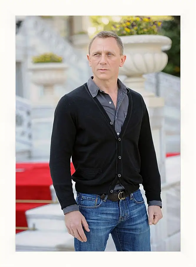 Картина в раме - Дэниел Крейг. Daniel Craig