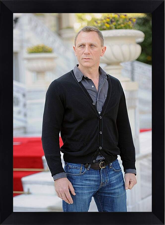 Картина в раме - Дэниел Крейг. Daniel Craig
