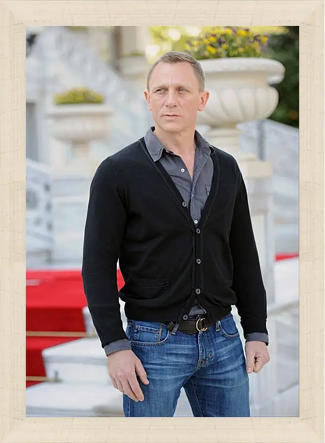 Картина в раме - Дэниел Крейг. Daniel Craig