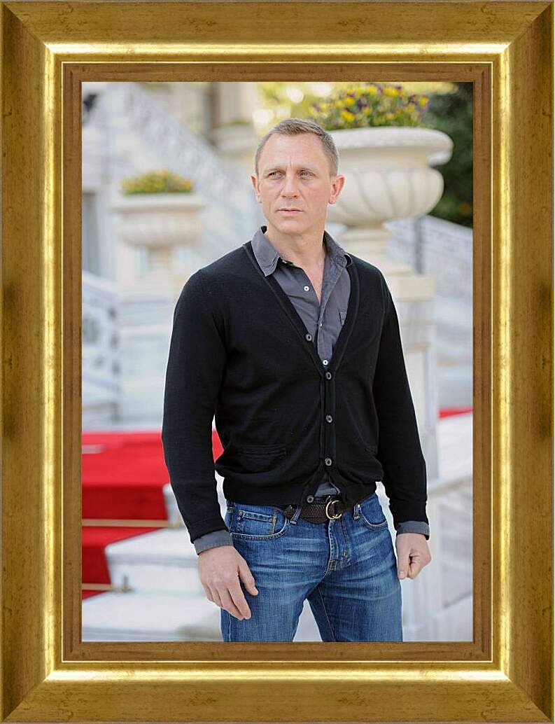 Картина в раме - Дэниел Крейг. Daniel Craig