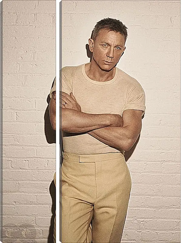 Модульная картина - Дэниел Крейг. Daniel Craig