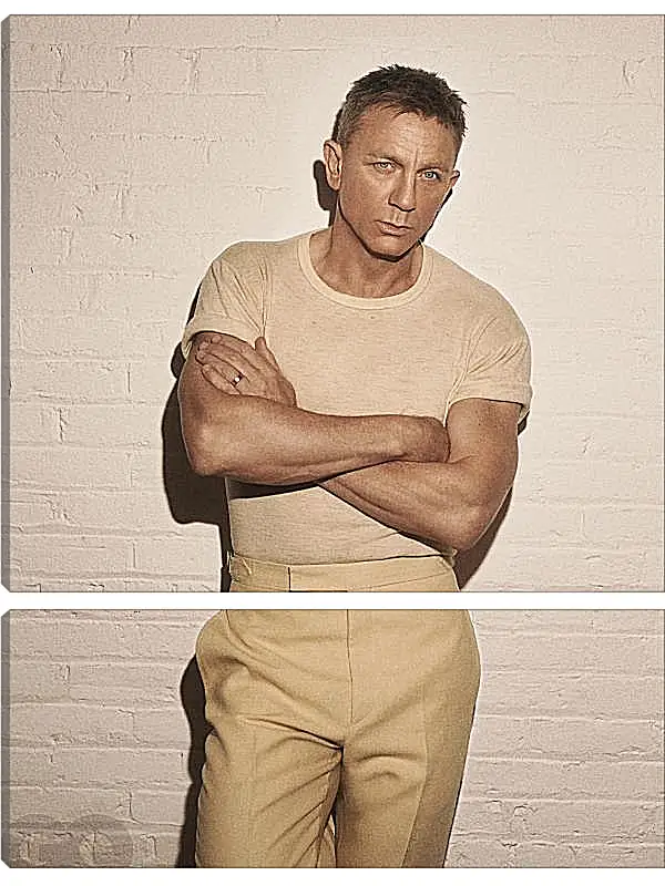 Модульная картина - Дэниел Крейг. Daniel Craig