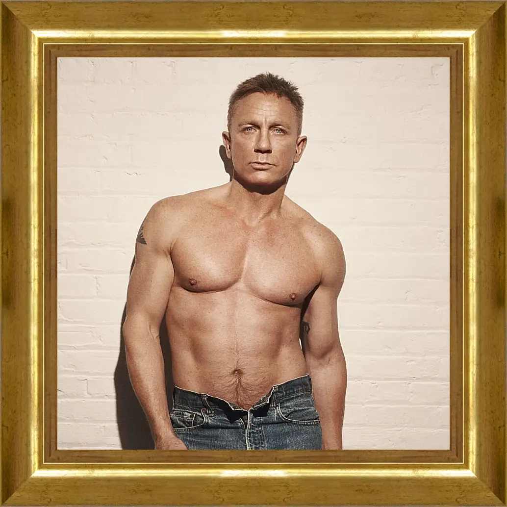 Картина в раме - Дэниел Крейг. Daniel Craig