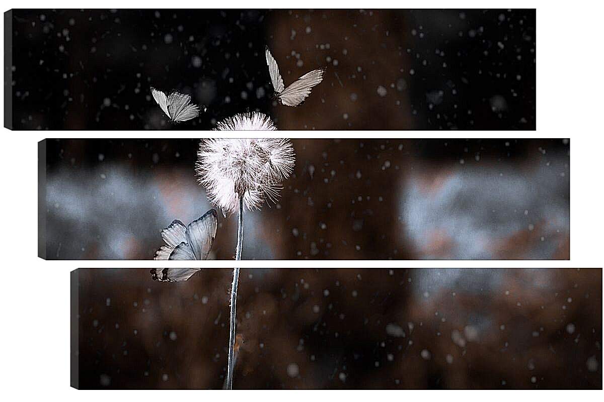 Модульная картина - Белый одуванчик в окружении бабочек