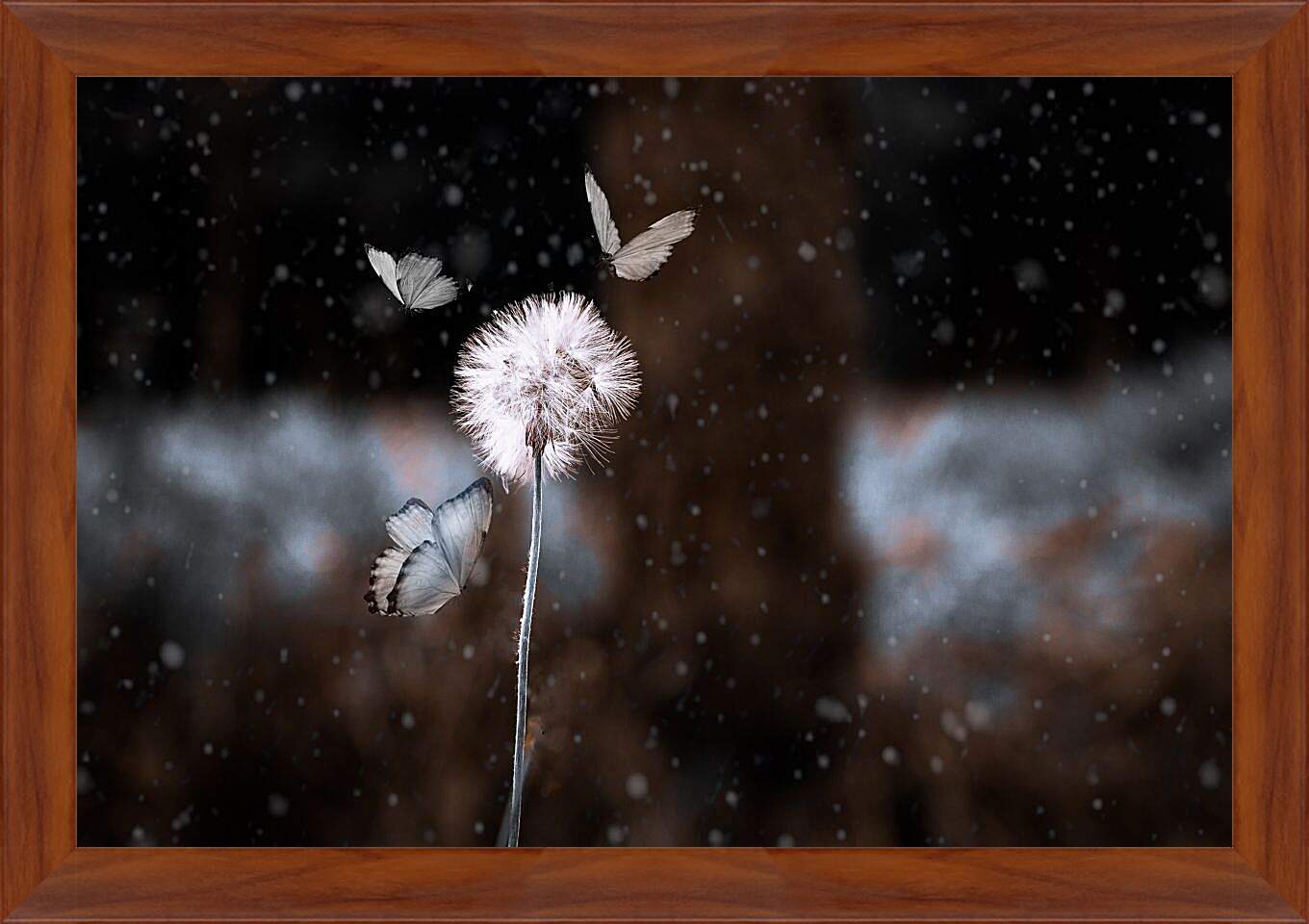 Картина в раме - Белый одуванчик в окружении бабочек