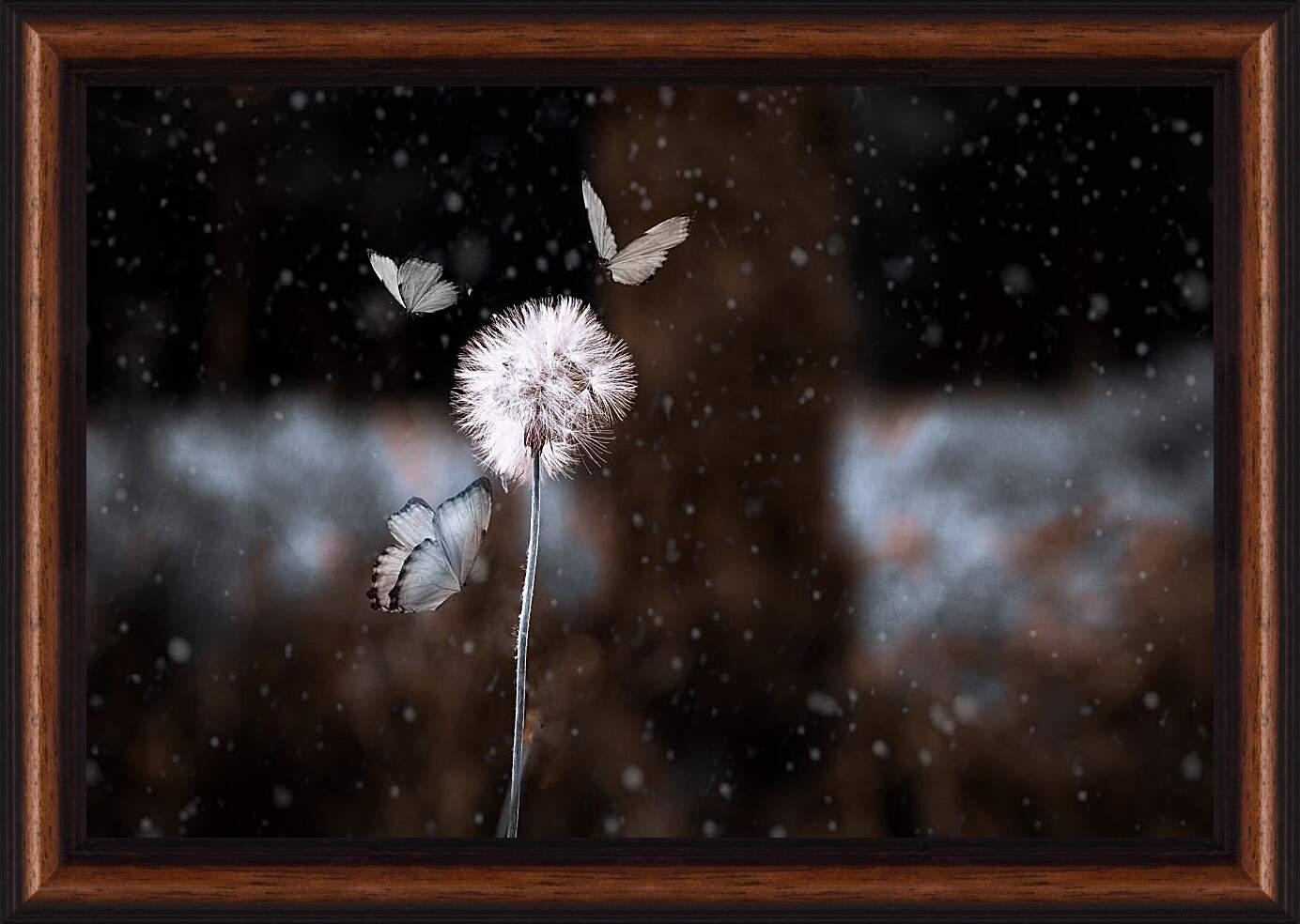 Картина в раме - Белый одуванчик в окружении бабочек