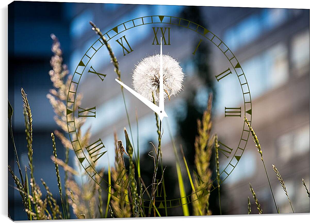 Часы картина - Одуванчик в зелёной траве