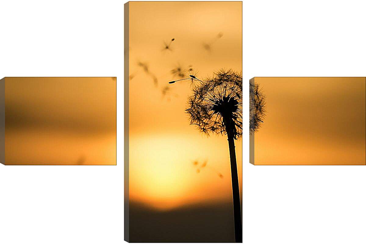 Модульная картина - Одуванчик на фоне заходящего солнца