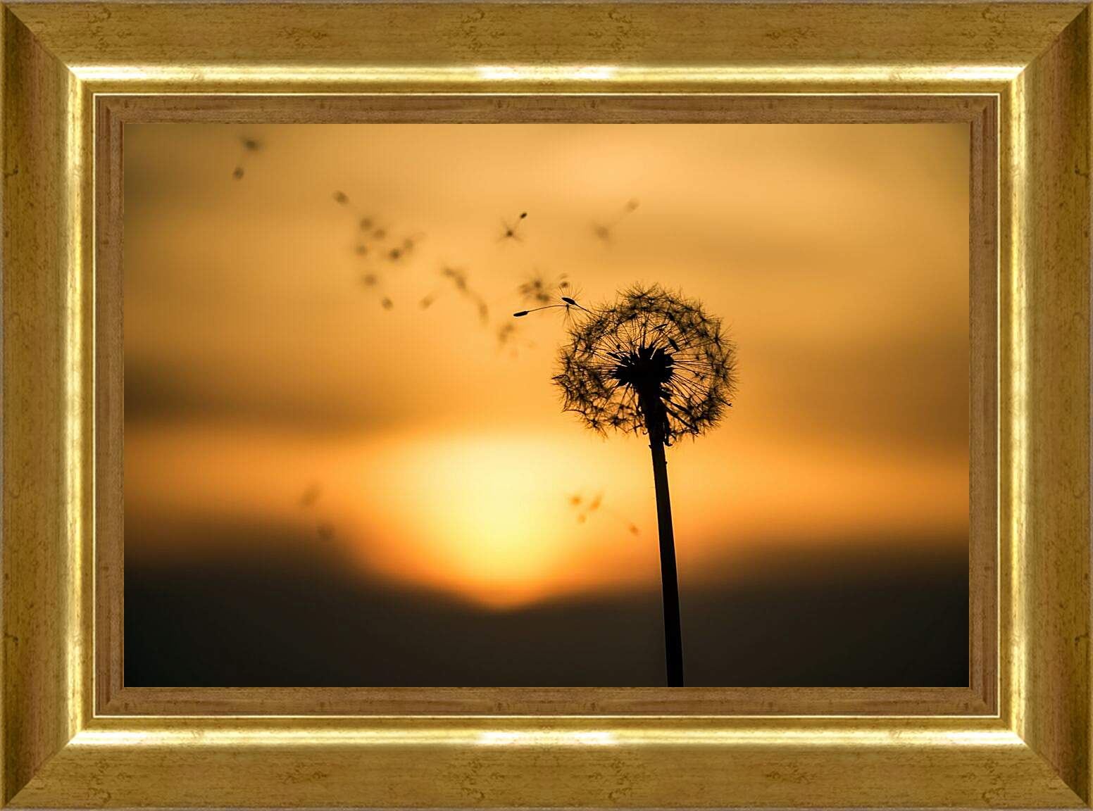 Картина в раме - Одуванчик на фоне заходящего солнца