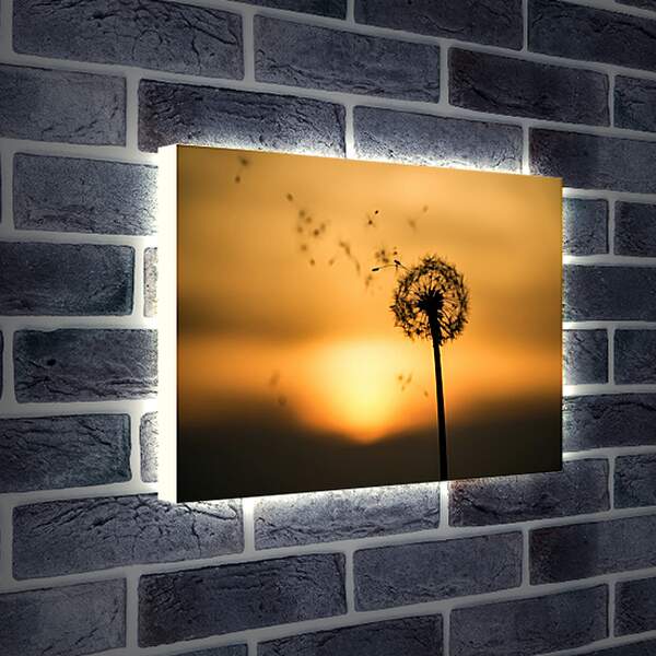 Лайтбокс световая панель - Одуванчик на фоне заходящего солнца