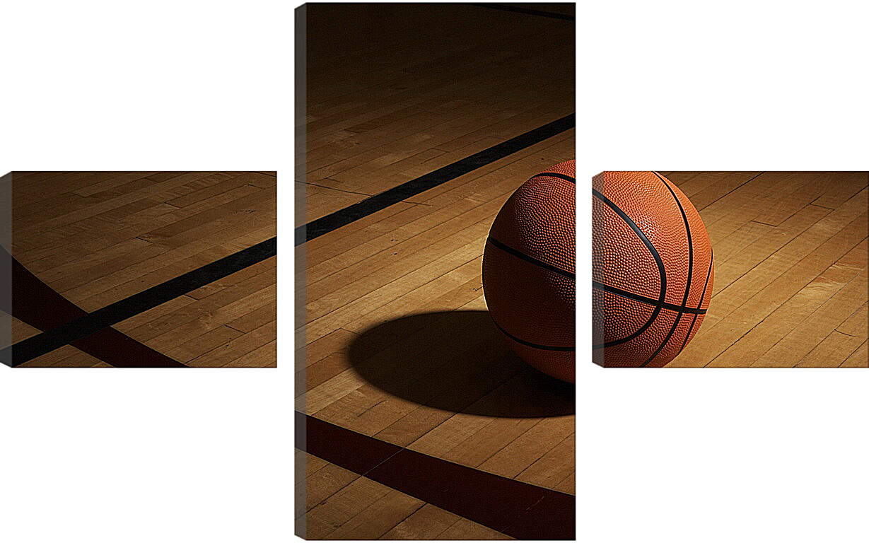 Модульная картина - Мяч баскетбольный