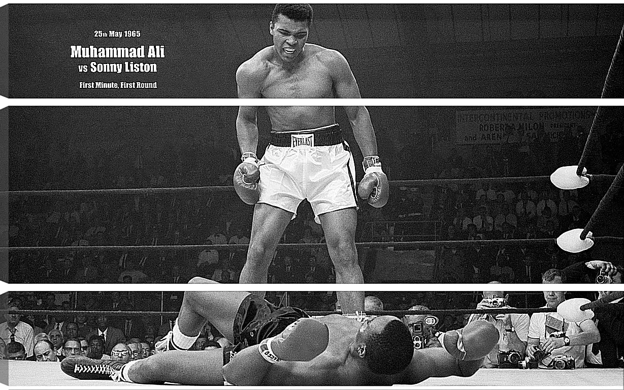 Модульная картина - Мухаммед Али (Muhammad Ali)