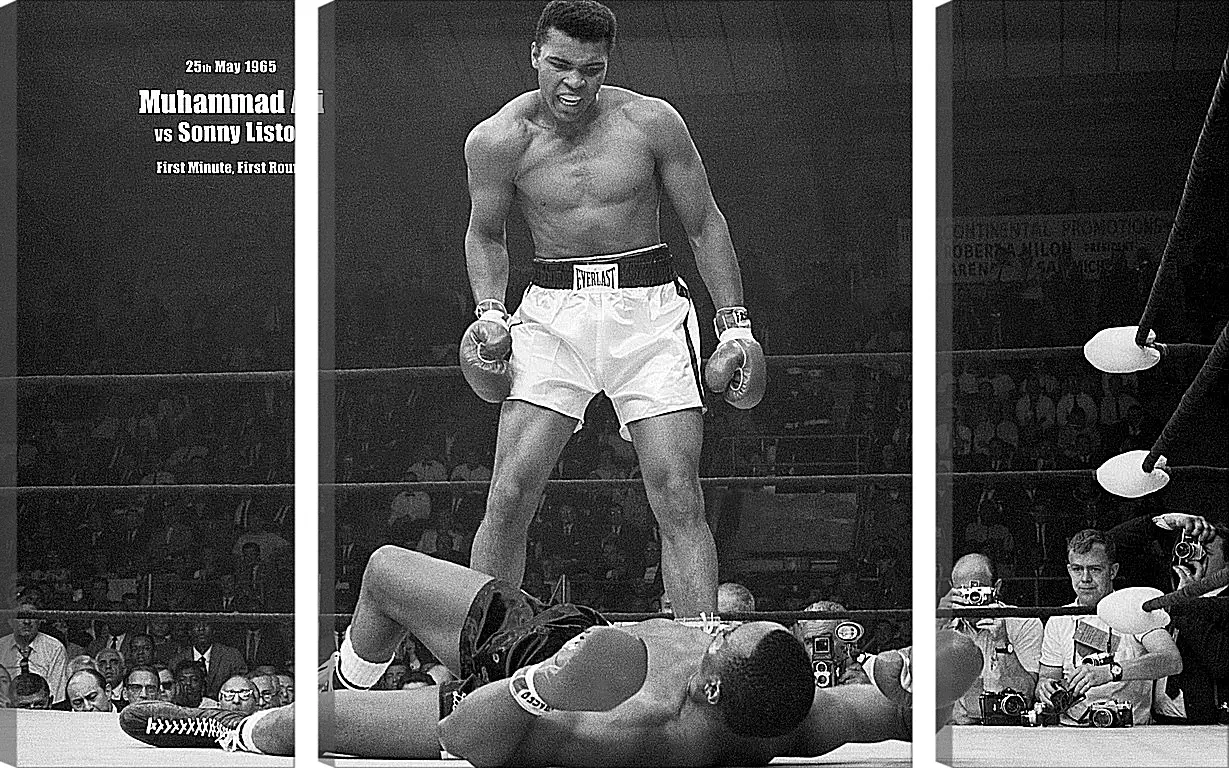 Модульная картина - Мухаммед Али (Muhammad Ali)