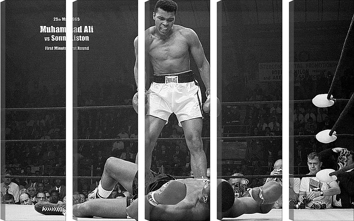 Модульная картина - Мухаммед Али (Muhammad Ali)