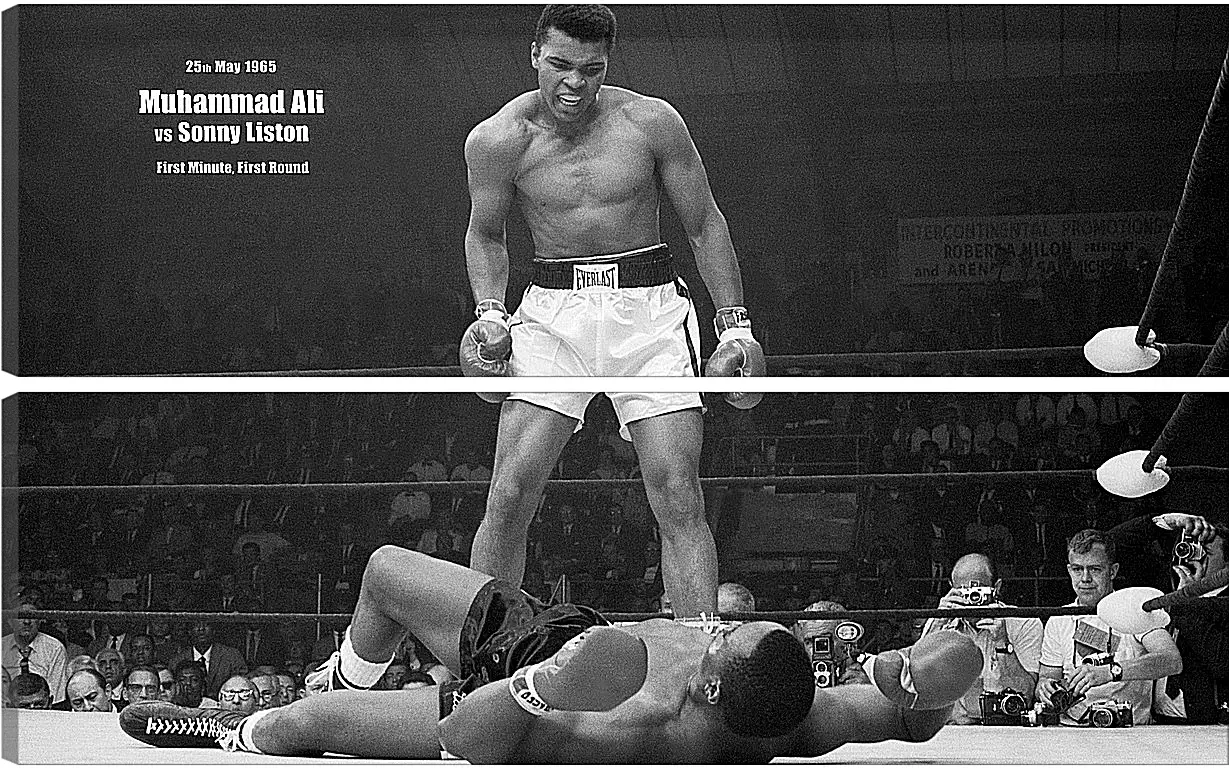 Модульная картина - Мухаммед Али (Muhammad Ali)