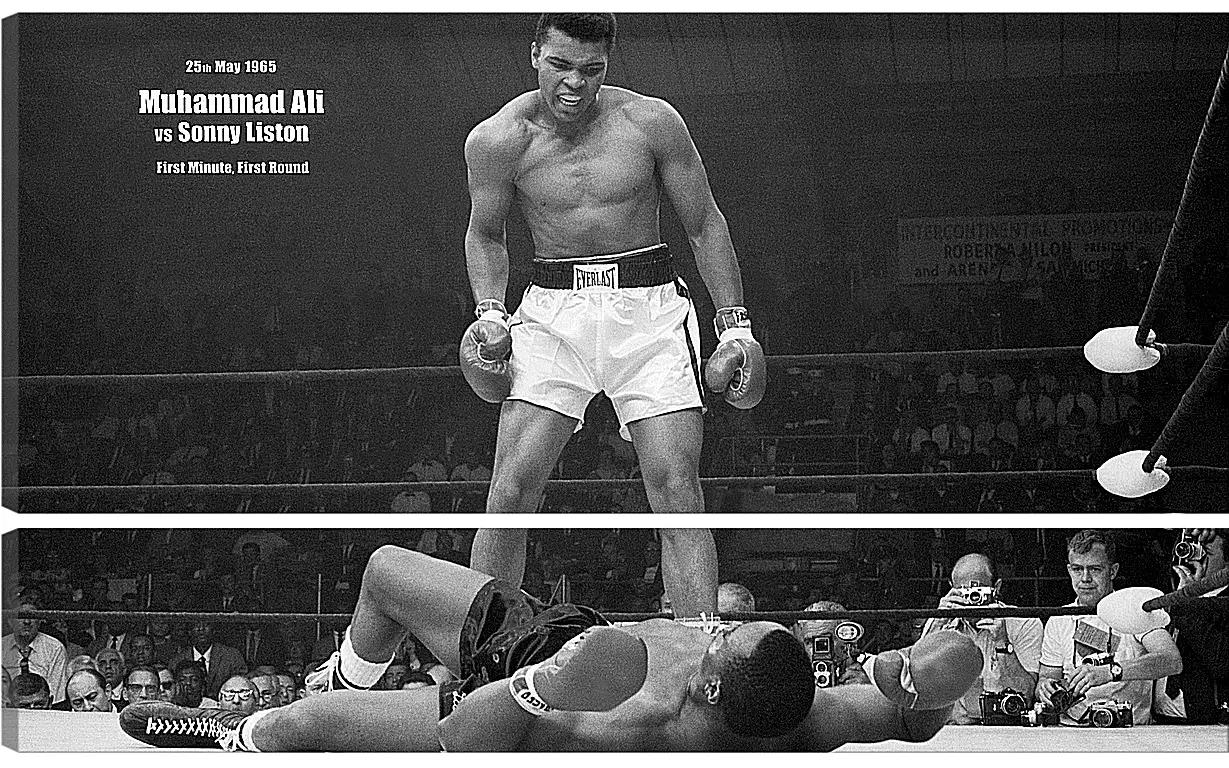 Модульная картина - Мухаммед Али (Muhammad Ali)