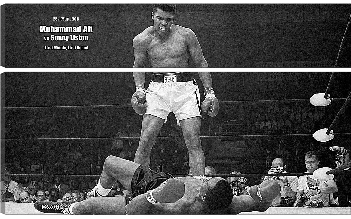 Модульная картина - Мухаммед Али (Muhammad Ali)