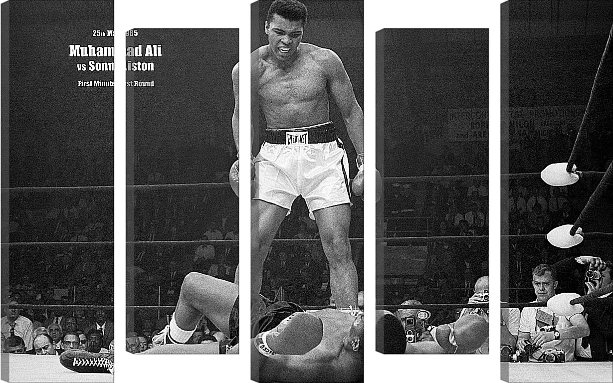 Модульная картина - Мухаммед Али (Muhammad Ali)