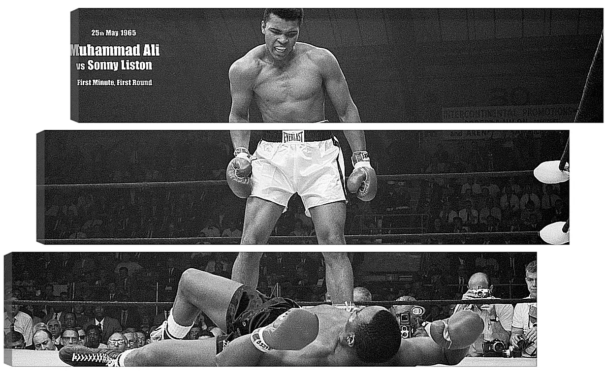 Модульная картина - Мухаммед Али (Muhammad Ali)