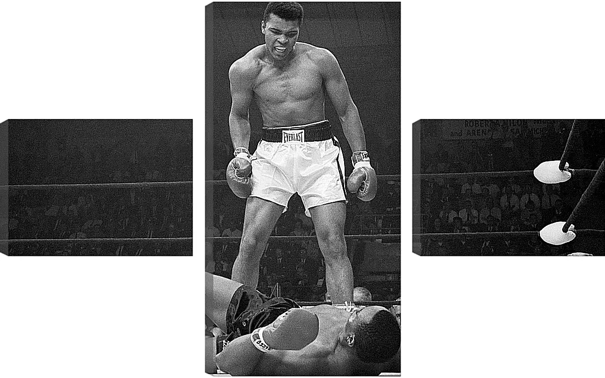 Модульная картина - Мухаммед Али (Muhammad Ali)