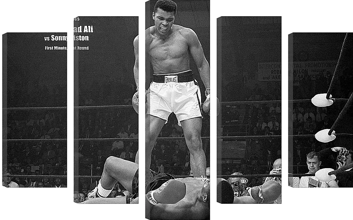 Модульная картина - Мухаммед Али (Muhammad Ali)