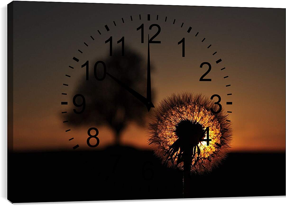 Часы картина - Одуванчики на закате 2