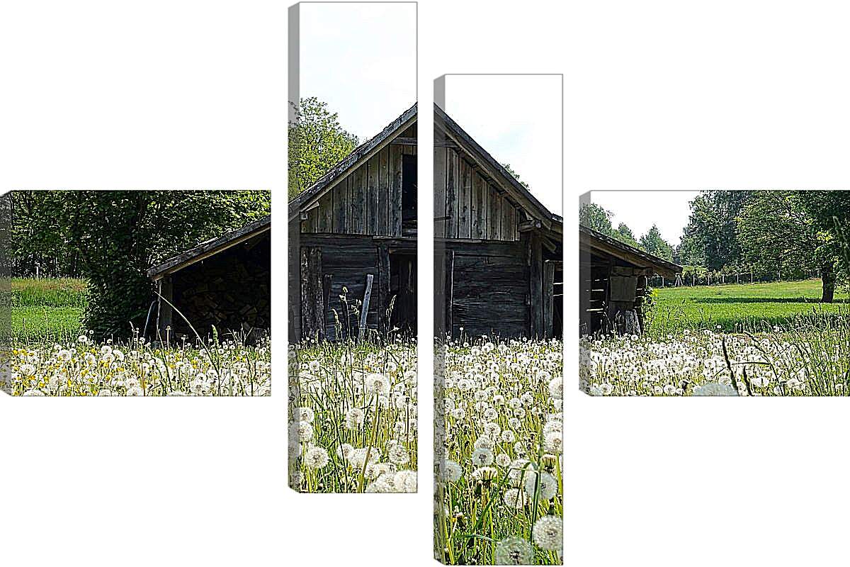 Модульная картина - Поляна белых одуванчиков возле деревянного домика