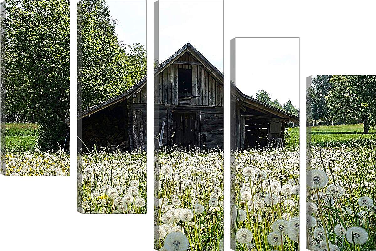 Модульная картина - Поляна белых одуванчиков возле деревянного домика