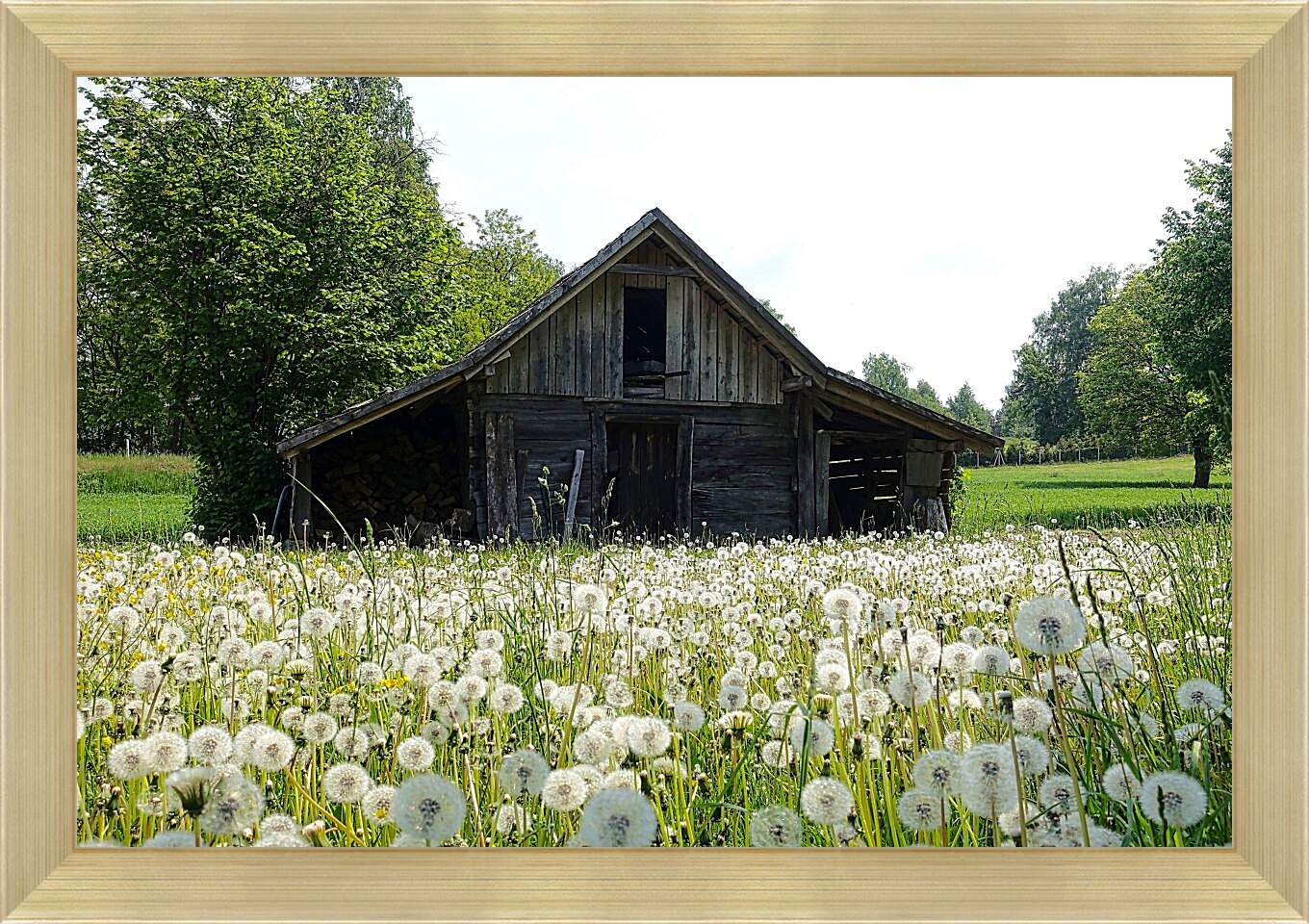Картина в раме - Поляна белых одуванчиков возле деревянного домика