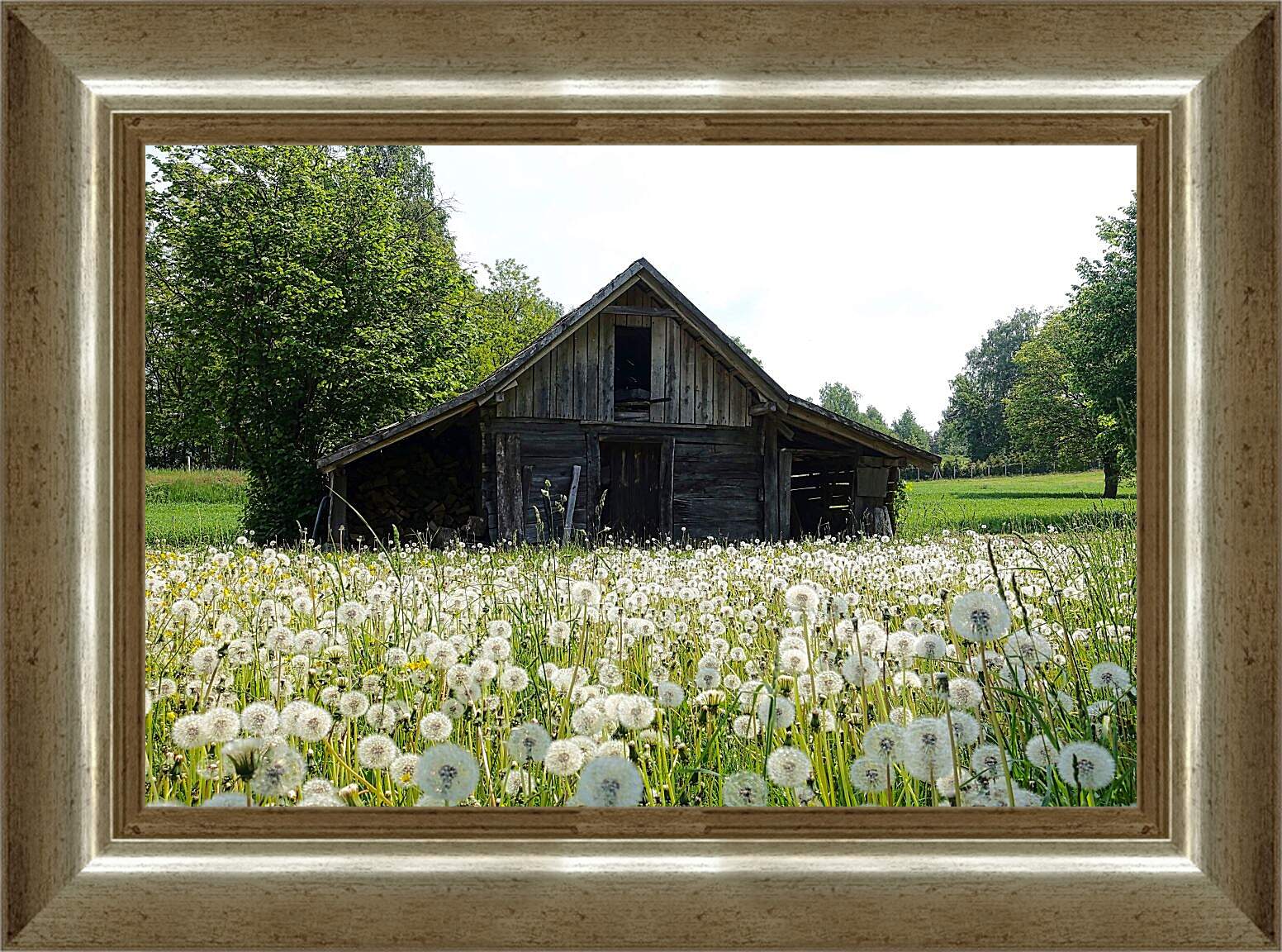 Картина в раме - Поляна белых одуванчиков возле деревянного домика