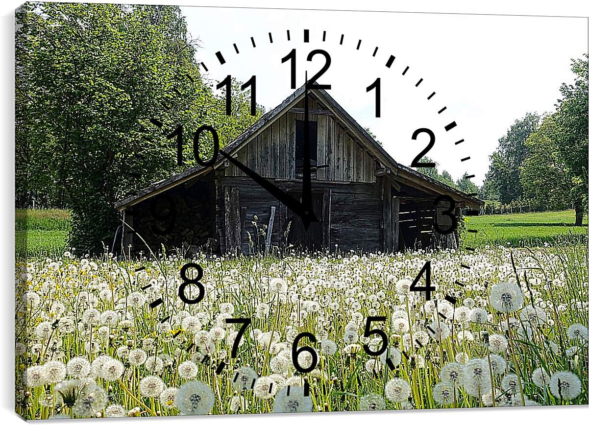 Часы картина - Поляна белых одуванчиков возле деревянного домика