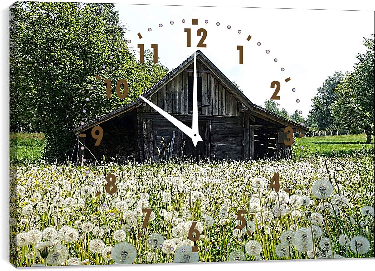 Часы картина - Поляна белых одуванчиков возле деревянного домика