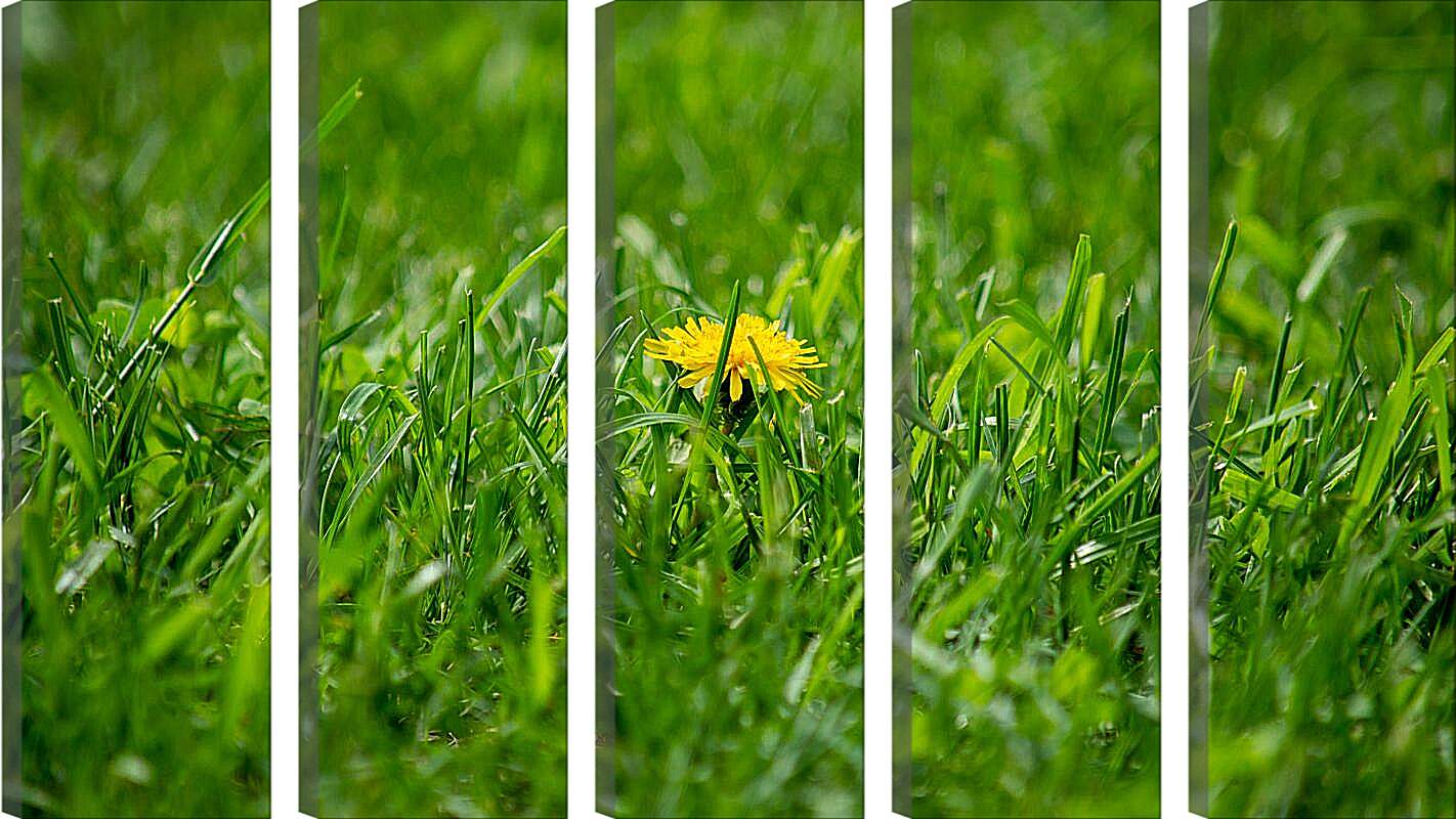 Модульная картина - Жёлтый одуванчик в зелёной траве