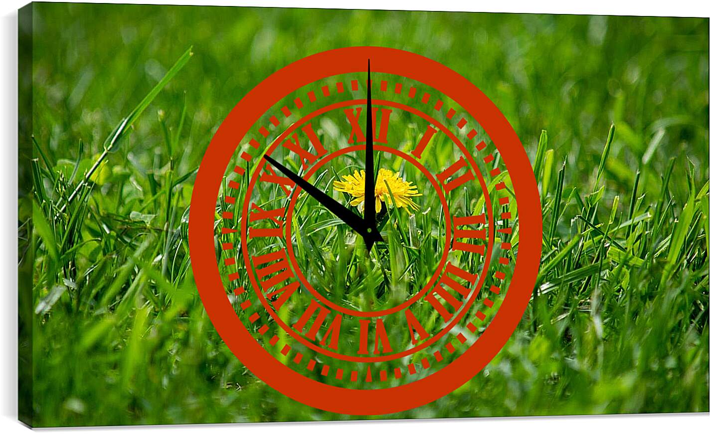 Часы картина - Жёлтый одуванчик в зелёной траве