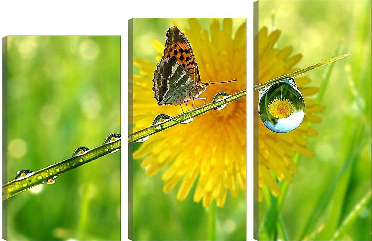 Модульная картина - Жёлтый одуванчик с бабочкой