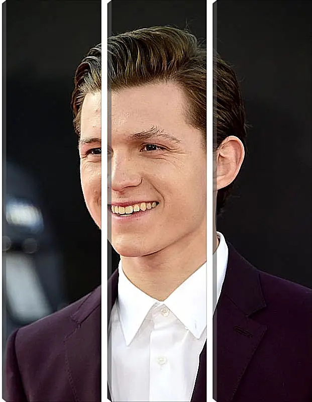 Модульная картина - Том Холланд. Tom Holland