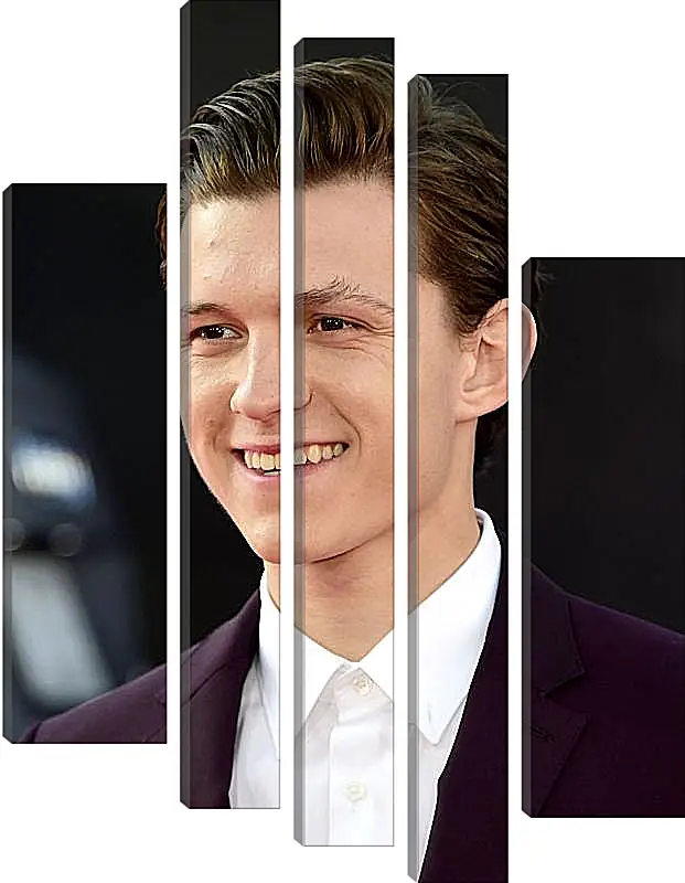 Модульная картина - Том Холланд. Tom Holland