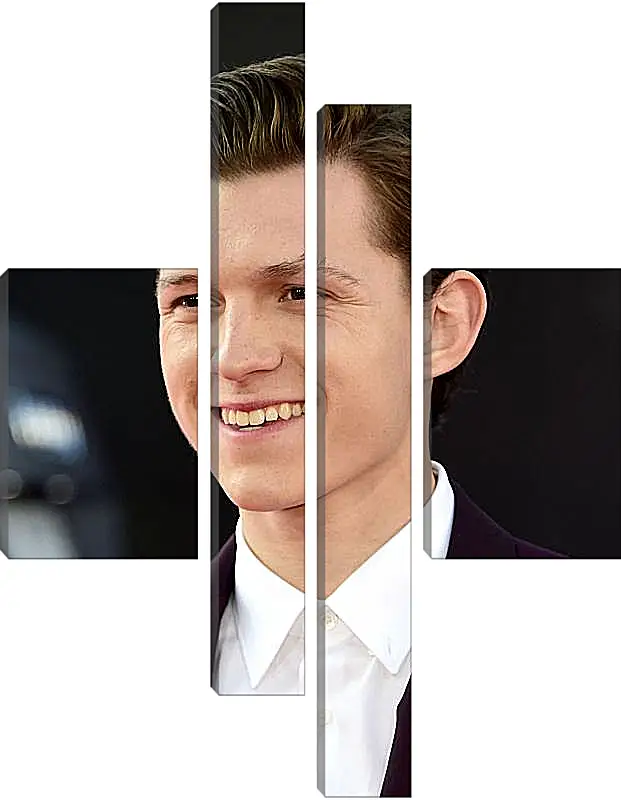 Модульная картина - Том Холланд. Tom Holland