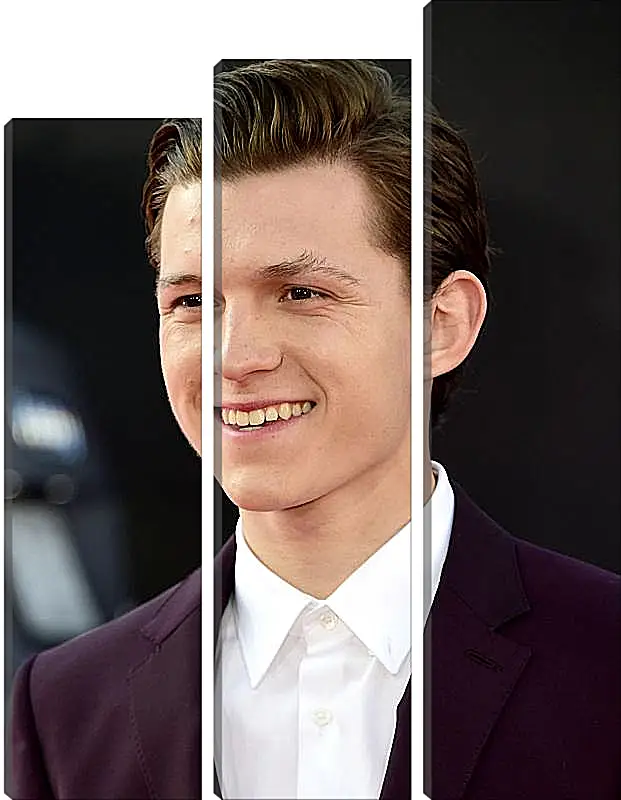 Модульная картина - Том Холланд. Tom Holland