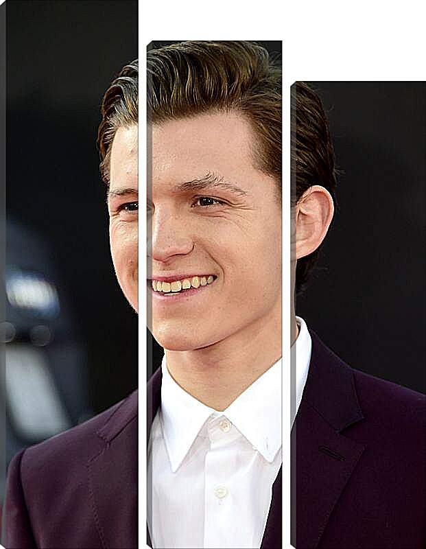 Модульная картина - Том Холланд. Tom Holland